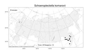 Schoenoplectiella komarovii (Roshev.) J.Jung & H.K.Choi, Атлас флоры России (FLORUS) (Россия)
