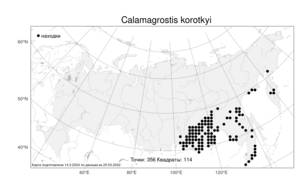 Calamagrostis korotkyi, Вейник Короткого Litv., Атлас флоры России (FLORUS) (Россия)