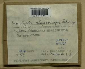 Encalypta rhaptocarpa Schwägr., Гербарий мохообразных, Мхи - Пермский край, Удмуртия, Свердловская и Кировская области (B8) (Россия)