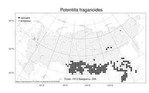 Potentilla fragarioides, Лапчатка земляниковидная, Лапчатка земляничная L., Атлас флоры России (FLORUS) (Россия)