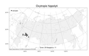 Oxytropis hippolyti, Остролодочник Ипполита Boriss., Атлас флоры России (FLORUS) (Россия)