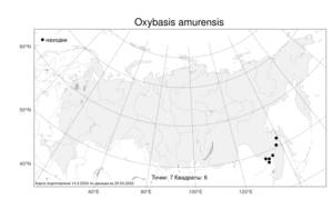 Oxybasis amurensis (Ignatov) Mosyakin & de Lange, Атлас флоры России (FLORUS) (Россия)