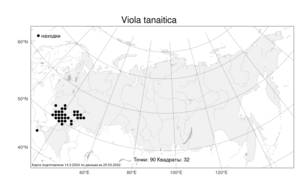 Viola tanaitica, Фиалка донская Grosset, Атлас флоры России (FLORUS) (Россия)