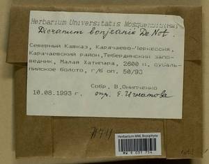 Dicranum bonjeanii De Not., Гербарий мохообразных, Мхи - Северный Кавказ и Предкавказье (B12) (Россия)