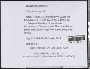 Bryophyta, Гербарий мохообразных, Мхи (без точных пунктов) (B0)