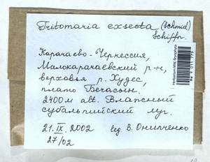 Tritomaria exsecta (Schmidel) Schiffn. ex Loeske, Гербарий мохообразных, Мхи - Северный Кавказ и Предкавказье (B12) (Россия)