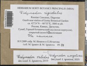 Didymodon mongolicus D.P. Zhao & T.R. Zhang, Гербарий мохообразных, Мхи - Северный Кавказ и Предкавказье (B12) (Россия)