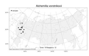 Alchemilla vorotnikovii, Манжетка Воротникова Czkalov, Атлас флоры России (FLORUS) (Россия)