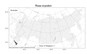 Rosa oxyodon, Шиповник острозубый Boiss., Атлас флоры России (FLORUS) (Россия)