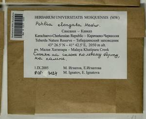 Pohlia elongata Hedw., Гербарий мохообразных, Мхи - Северный Кавказ и Предкавказье (B12) (Россия)