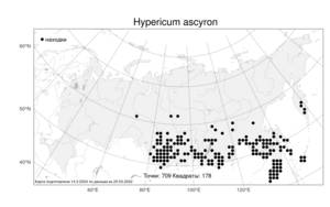Hypericum ascyron, Зверобой большой L., Атлас флоры России (FLORUS) (Россия)