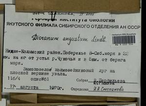Dicranum laevidens R.S. Williams, Гербарий мохообразных, Мхи - Якутия (B19) (Россия)