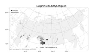 Delphinium dictyocarpum, Живокость сетчатоплодная DC., Атлас флоры России (FLORUS) (Россия)