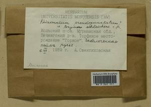 Ptychostomum schleicheri (DC.) J.R. Spence, Гербарий мохообразных, Мхи - Карелия, Ленинградская и Мурманская области (B4) (Россия)