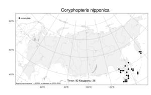Coryphopteris nipponica (Franch. & Sav.) S. E. Fawc. & A. R. Sm., Атлас флоры России (FLORUS) (Россия)