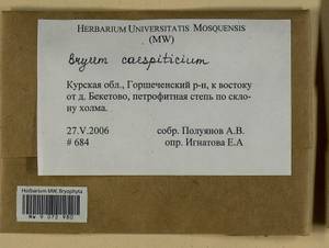 Ptychostomum imbricatulum (Müll. Hal.) Holyoak & N. Pedersen, Гербарий мохообразных, Мхи - Центральное Черноземье (B10) (Россия)