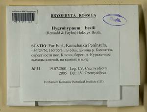 Hygrohypnella bestii (Renauld & Bryhn) Ignatov & Ignatova, Гербарий мохообразных, Мхи - Чукотка и Камчатка (B21) (Россия)