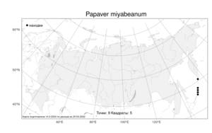 Papaver miyabeanum, Oreomecon miyabeana, Атлас флоры России (FLORUS) (Россия)