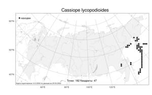 Cassiope lycopodioides, Кассиопа плауновидная (Pall.) D. Don, Атлас флоры России (FLORUS) (Россия)