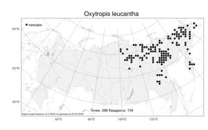 Oxytropis leucantha, Остролодочник белоцветковый (Pall.) Pers., Атлас флоры России (FLORUS) (Россия)