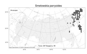Smelowskia parryoides, Смеловския парриевидная (Cham.) Polunin, Атлас флоры России (FLORUS) (Россия)
