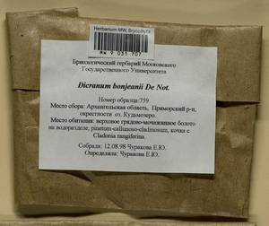 Dicranum bonjeanii De Not., Гербарий мохообразных, Мхи - Архангельская и Вологодская области, Коми, Ненецкий АО (B7) (Россия)