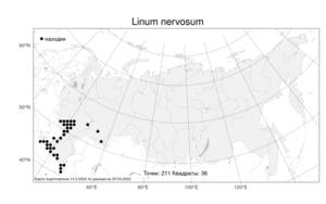 Linum nervosum, Лен жилковатый Waldst. & Kit., Атлас флоры России (FLORUS) (Россия)