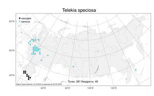 Telekia speciosa, Телекия прекрасная, Телекия великолепная (Schreb.) Baumg., Атлас флоры России (FLORUS) (Россия)