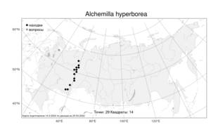 Alchemilla hyperborea, Манжетка северная Juz., Атлас флоры России (FLORUS) (Россия)