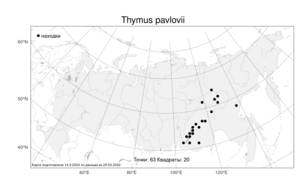 Thymus pavlovii, Тимьян Павлова, Чабрец Пвлова Serg., Атлас флоры России (FLORUS) (Россия)