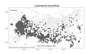 Lysimachia thyrsiflora, Вербейник кистецветный, Кизляк кистецветный L., Атлас флоры России (FLORUS) (Россия)