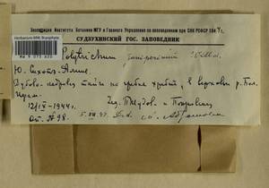 Polytrichum juniperinum Hedw., Гербарий мохообразных, Мхи - Дальний Восток (без Чукотки и Камчатки) (B20) (Россия)