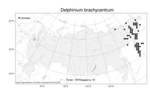 Delphinium brachycentrum, Живокость короткошпорцевая Ledeb., Атлас флоры России (FLORUS) (Россия)
