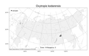 Oxytropis kodarensis, Остролодочник кодарский Jurtzev & Malyschev, Атлас флоры России (FLORUS) (Россия)