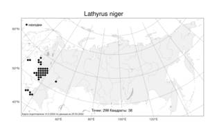 Lathyrus niger, Чина черная (L.) Bernh., Атлас флоры России (FLORUS) (Россия)