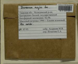 Dicranum majus Turner, Гербарий мохообразных, Мхи - Центральное Нечерноземье (B6) (Россия)