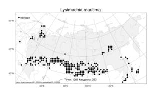 Lysimachia maritima (L.) Galasso, Banfi & Soldano, Атлас флоры России (FLORUS) (Россия)