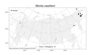 Montia vassilievii, Монция Васильева (Kuzen.) Mc Neill, Атлас флоры России (FLORUS) (Россия)