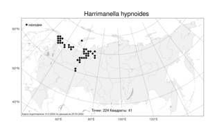 Harrimanella hypnoides, Гарриманелла моховидная (L.) Coville, Атлас флоры России (FLORUS) (Россия)