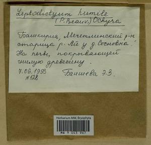 Hygroamblystegium humile (P. Beauv.) Vanderp., Hedenäs & Goffinet, Гербарий мохообразных, Мхи - Башкортостан, Челябинская и Оренбургская области (B14) (Россия)