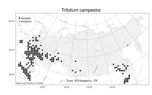 Trifolium campestre, Клевер полевой, Клевер равнинный Schreb., Атлас флоры России (FLORUS) (Россия)