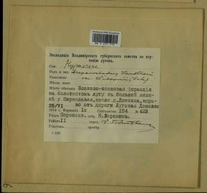 Drepanocladus sendtneri (Schimp. ex H. Müll.) Warnst., Гербарий мохообразных, Мхи - Центральное Нечерноземье (B6) (Россия)