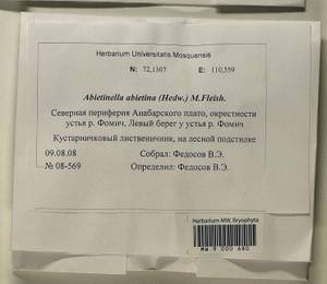Abietinella abietina (Hedw.) M. Fleisch., Гербарий мохообразных, Мхи - Красноярский край, Тыва и Хакасия (B17) (Россия)