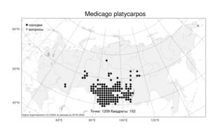 Medicago platycarpos (L.) Trautv., Атлас флоры России (FLORUS) (Россия)