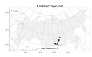 Eritrichium sajanense, Незабудочник саянский (Malyschev) Sipliv., Атлас флоры России (FLORUS) (Россия)