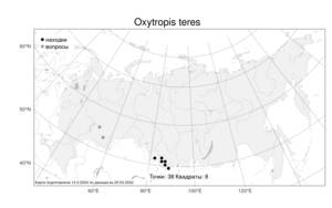 Oxytropis teres, Остролодочник изящный DC., Атлас флоры России (FLORUS) (Россия)