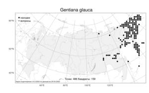 Gentiana glauca, Горечавка сизая Pall., Атлас флоры России (FLORUS) (Россия)