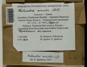 Philonotis seriata Mitt., Гербарий мохообразных, Мхи - Северный Кавказ и Предкавказье (B12) (Россия)