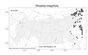 Rhodiola integrifolia, Родиола цельнолистная Raf., Атлас флоры России (FLORUS) (Россия)