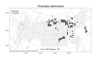 Oxytropis adamsiana, Остролодочник Адамса (Trautv.) Jurtzev, Атлас флоры России (FLORUS) (Россия)